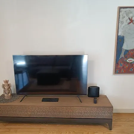 Moderniskas Ir Jaukus Butas Gamtos Apsuptyje