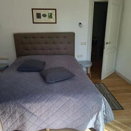 Moderniskas Ir Jaukus Butas Gamtos Apsuptyje * Druskieniki