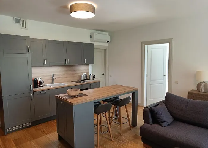 Moderniskas Ir Jaukus Butas Gamtos Apsuptyje * Druskininkai