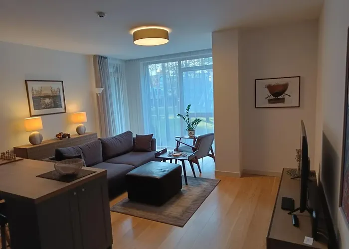 Moderniskas Ir Jaukus Butas Gamtos Apsuptyje * Druskieniki